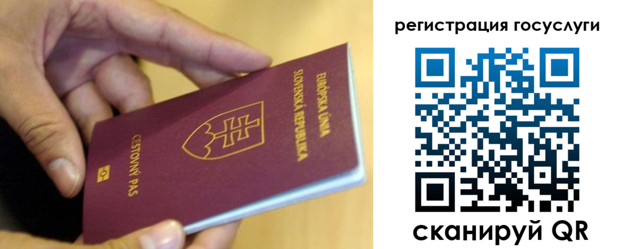 прописка в квартире в Калачинске